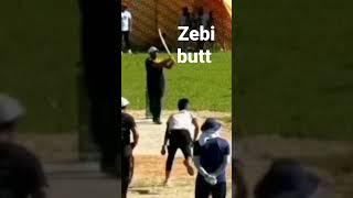 Zebi butt gabbar batting