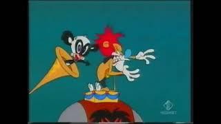 Tex Avery Show Ita - La sigla di Genghis e Khannie