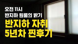 서울 반지하 원룸 5년 거주 후기