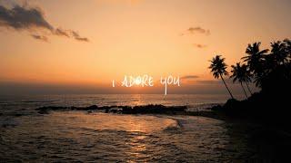 HUGEL x Topic x Arash feat. Daecolm - I Adore You (Sundowner Lyric Video)