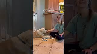 How I taught my DeafBlind Dog to Communicate Using Buttons (Part 1)