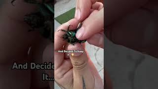 We Found A FBI Bug and Kept it As A Pet