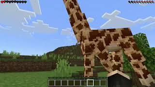 Animals ADDON in Minecraft PE