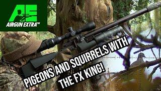 Airgun Extra | Pigeon and squirrel shooting with the FX King | Kral Puncher K review