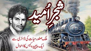 Malik Safdar Hayat Jurm O Saza New Story Shajr e Umeed