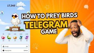 how to prey Birds in telegram game || crypto currency || Dogs | Tomarket | x empire | Blum