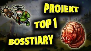 Tibia - Projekt TOP 1 w Bosstiary - Podsumowanie #3