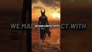#ThunderDog Anubis in America