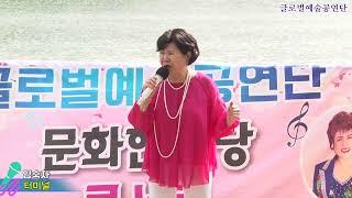 가수 임숙자,터미널,글로벌예술공연단 문화한마당 콘서트