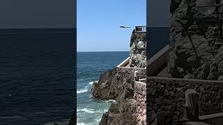 Cliff Diving in Mexico! #shorts #cliffdiving #mazatlan