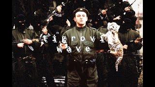 𝕋 𝕀 𝔾 ℝ 𝕆 𝕍 𝕀  𝕎 𝔸 𝕍 𝔼 [ Arkanovi Tigrovi Wave ]