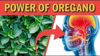 OREGANO: Nature's Super Antibiotic! Top 10 Health Benefits for Modern Health Issues