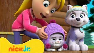 Psi Patrol | Misje ratowania kotków i zwierzątek z Everest, Chase'em i innymi! | Nick Jr. Polska