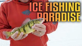 Tip-Ups & Jigging: Jumbo Perch Ice Fishing in Northern Michigan