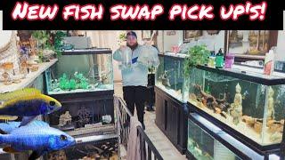 *NEW* FISH SWAP PICK UPS FOR MY 90 GALLON AQUARIUM!