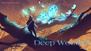 【1時間】寂しげなフォーク曲「Deep Woods4」