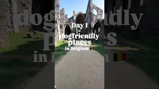 day 1 of dogfriendly places in Belgium Abbey of Villers-La-Ville