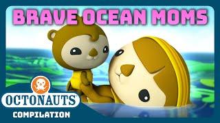 @Octonauts - ‍️ BRAVE Ocean Moms   | 2 Hours+ Full Episodes Marathon | ‍ Mother's Day 