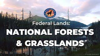 Federal Lands: National Forests and Grasslands