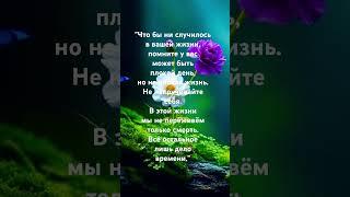 Мудрости жизни #жизнь #цитаты #рекомендации#мудрыеслова#душа #судьба#мотивация#мышление #вдохновение