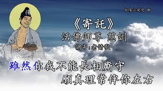 善歌丨寄託丨調寄：老情歌丨活佛師尊 慈訓丨白陽小徒兒