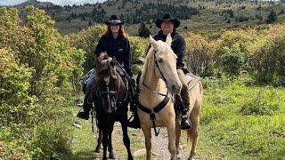 Grayson Highland State Park - Chestnut Hollow campground/ horse camping equestrian center