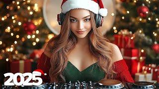 Alan Walker, Dua Lipa, Coldplay, Martin Garrix & Kygo, The Chainsmokers Style - Winter Music Mix