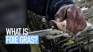 What is Foie Gras?