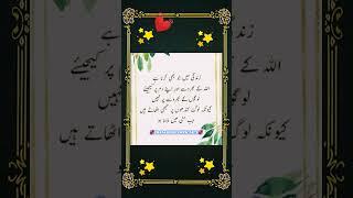 Urdu Quotes - Golden Words #shorts