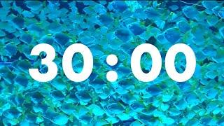 Productivity Plunge: 30-Minute Underwater Fish Timer for Laser-Focused Work