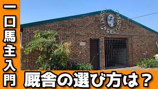 【一口馬主初心者向け】募集馬の厩舎はどう検討したらいいの？