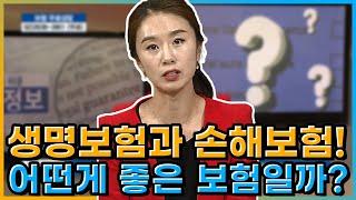 생명보험과 손해보험! 어떤게 좋은 보험일까? [당신이 모르는 보험의 모든 것]