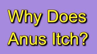 Why Does Anus Itch?