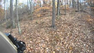 Direwolf Airsoft Strategic Compound 11/2/14