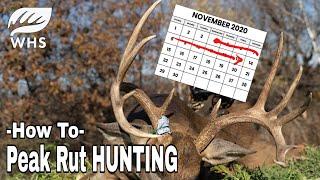 How To Hunt The Peak Rut