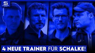 Geraerts-Nachfolger gesucht! Diese Trainer passen zu Schalkes Profil & Manga! | S04 Analyse