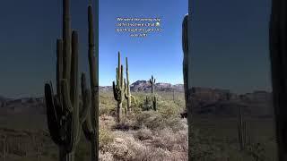 The best hike in Phoenix Arizona / the Wave Cave 