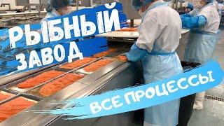 Рыбный завод в Польше. Самое подробное видео! #рыбныйзавод #работавПольше #заводыПольши