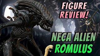 NECA SCORCHED ALIEN ROMULUS FIGURE & ACCESSORY REVIEW! BEST TRANSLUCENT ALIEN FIGURE TO DATE?!