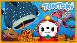 Unusual Ocean Animals | Unusual Series | Animal Song | Sea Animals Song | Kids Song | TOMTOMI