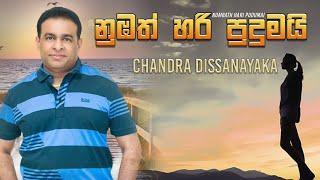 Numbath Hari Pudumai (Cover) [නුඹත් හරි පුදුමයි] Chandra Dissanayaka New Sinhala Songs 2020