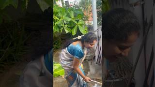 Pongal vibes| minivlog ~ Jan 16 | #shorts #trending #cookingshorts