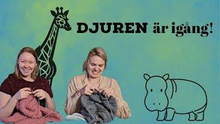 Ep 42: Djurstart och fjällmys