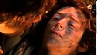 I WILL CARRY YOU- Frodo and Sam.