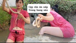 Chiều chiều em xuất chiêu bắt cá thu phục cặp rắn ẩn nấp trong hang sâu quá đã #thanhgiangvlog