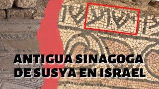 Posible Inscripción Mesiánica Revelada en Visita a Sinagoga Antigua en Israel