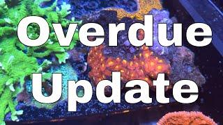 Coral Farm Update You've Been Waiting For