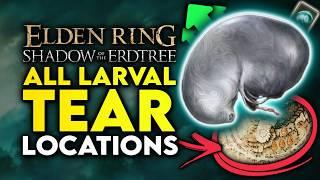 Elden Ring Shadow Of The Erdtree | All Larval Tear Locations For Respeccing Your Builds