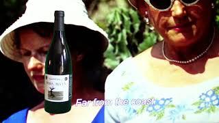 APERO WINE CLUB 1