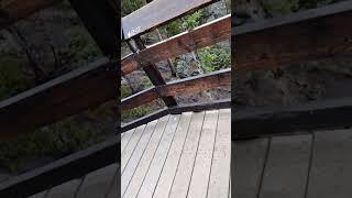 An 8,000 ft-high balcony on Yellowstone River, Wyoming.  2024-09-17   14:47